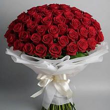 Букет 101 Красная роза Блэк Мэджик в Тарбушево
