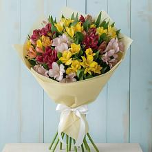 Букет цветов из:  Альстромерии в Тарбушево