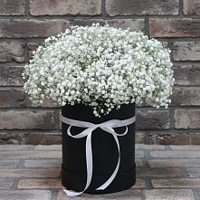 Цветочная композиция из Гипсофила в шляпной коробке #REPLACE_PRED# Тарбушево