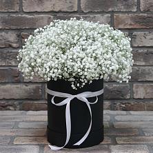 Цветочная композиция из Гипсофила в шляпной коробке в Тарбушево