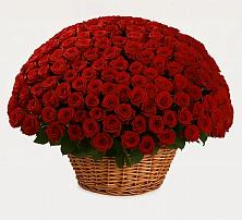 Премиум букет из: Розы в Тарбушево