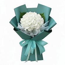 Букет цветов из:  Гортензия в Тарбушево